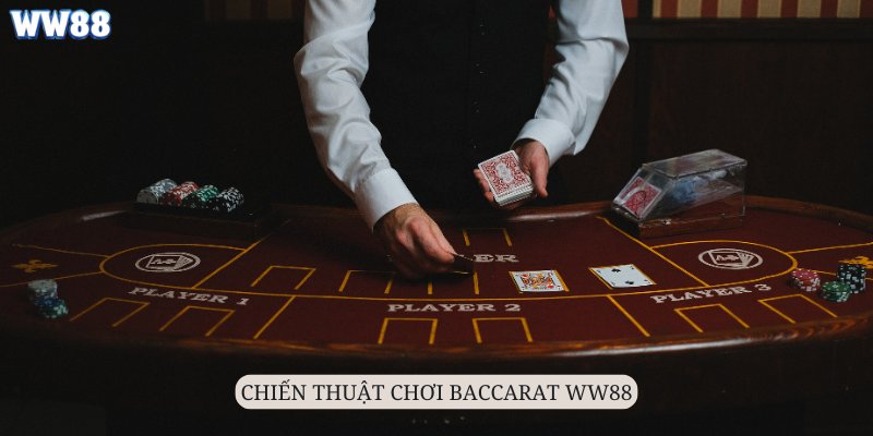 Học hỏi chiến thuật đánh Baccarat Ww88 từ những hội viên dày dặn kinh nghiệm